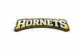 Hornets  - T-shirt / Hoodie