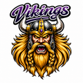 Vikings Varsity Mascot - T-shirt / Hoodie