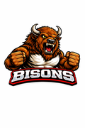 Bisons Mascot - T-shirt / Hoodie