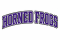 Horned Frogs Varsity Block - T-shirt / Hoodie