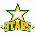 Stars School Mascot - T-shirt / Hoodie
