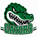 Gators School Mascot - T-shirt / Hoodie