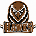 Hawks School Mascot - T-shirt / Hoodie