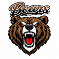 Bears Varsity Mascot - T-shirt / Hoodie