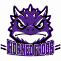 Horned Frogs School Mascot - T-shirt / Hoodie