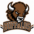Buffalos School Mascot - T-shirt / Hoodie