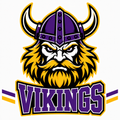 Vikings School Mascot - T-shirt / Hoodie