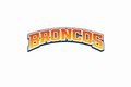 Broncos - T-shirt / Hoodie