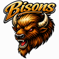 Bisons Varsity Mascot - T-shirt / Hoodie
