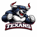 Texans Mascot - T-shirt / Hoodie