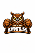 Owls Mascot - T-shirt / Hoodie