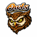 Owls Varsity Mascot - T-shirt / Hoodie