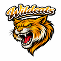 Wildcats Varsity Mascot - T-shirt / Hoodie