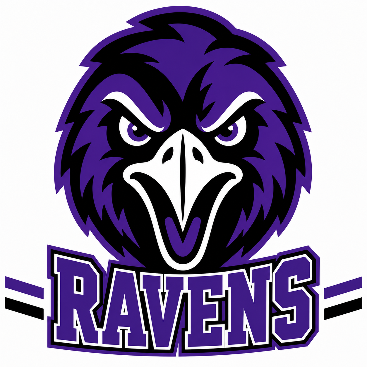 Ravens School Mascot - T-shirt / Hoodie
