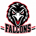 Falcons School Mascot - T-shirt / Hoodie