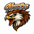 Hawks Varsity Mascot - T-shirt / Hoodie