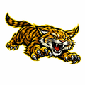 Wildcats Fierce Mascot - T-shirt / Hoodie