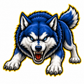 Huskies Fierce Mascot - T-shirt / Hoodie