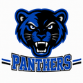Panthers School Mascot - T-shirt / Hoodie
