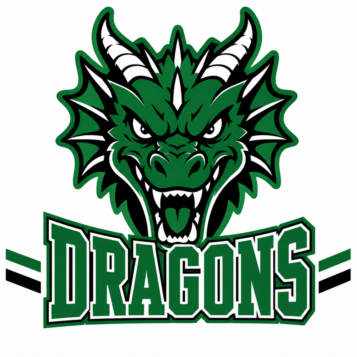 Dragons School Mascot - T-shirt / Hoodie