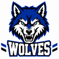Wolves School Mascot - T-shirt / Hoodie