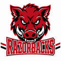 Razorbacks School Mascot - T-shirt / Hoodie