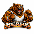 Bears Mascot - T-shirt / Hoodie