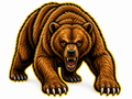 Bears Fierce Mascot - T-shirt / Hoodie