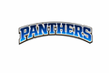 Panthers  - T-shirt / Hoodie
