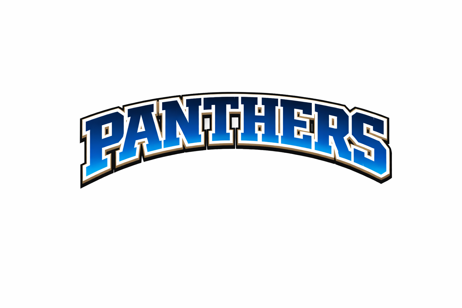 Panthers  - T-shirt / Hoodie