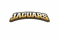 Jaguars - T-shirt / Hoodie