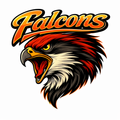 Falcons Varsity Mascot - T-shirt / Hoodie
