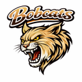 Bobcats Varsity Mascot - T-shirt / Hoodie