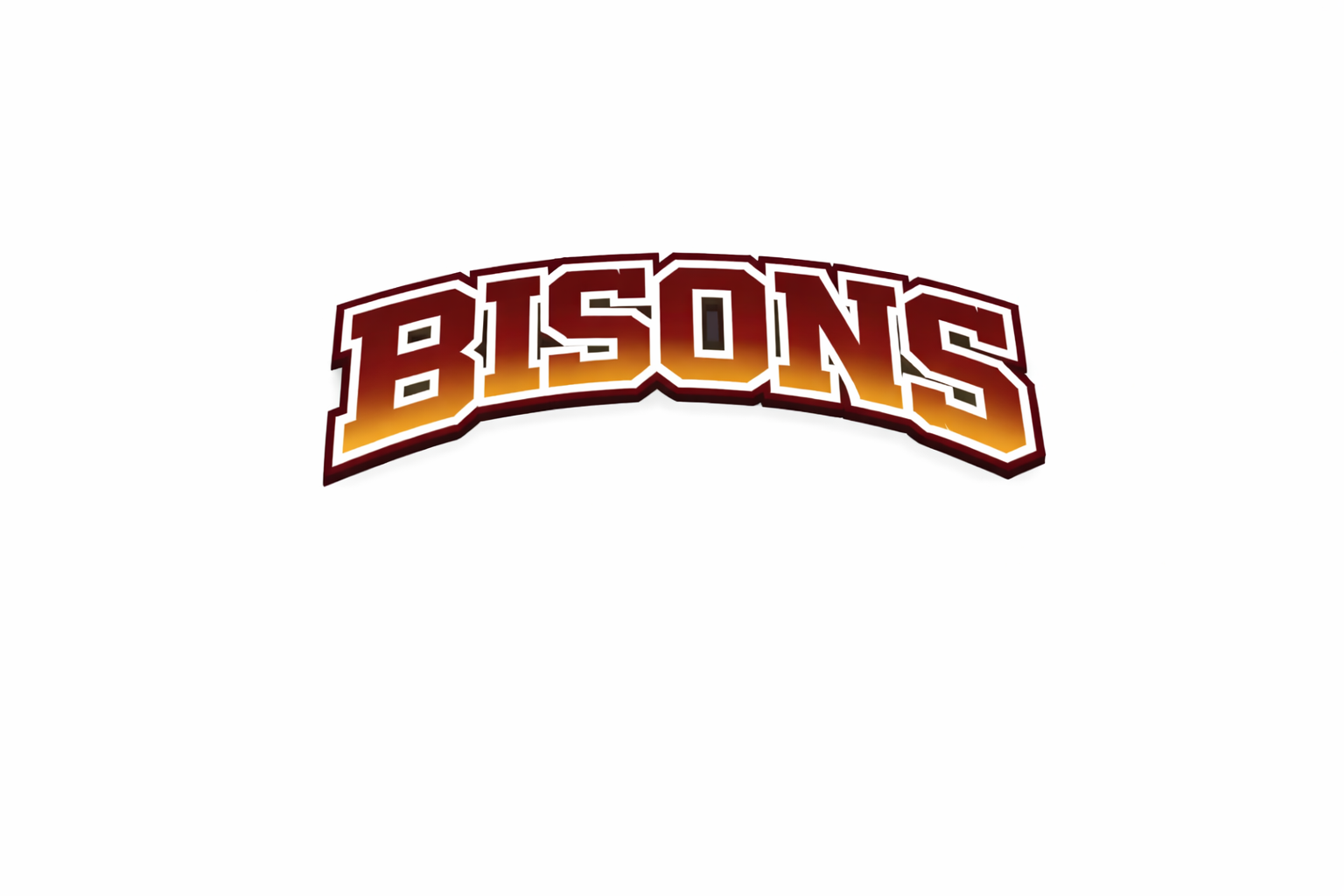 Bisons  - T-shirt / Hoodie