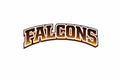 Falcons  - T-shirt / Hoodie