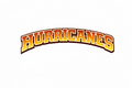Hurricanes  - T-shirt / Hoodie