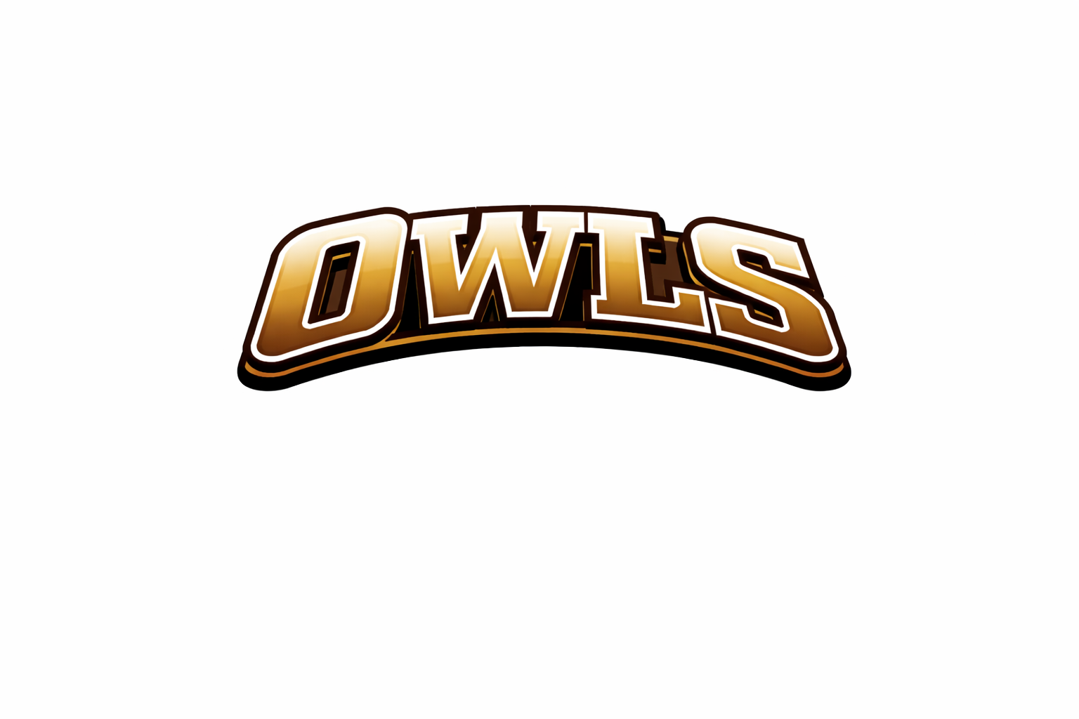 Owls  - T-shirt / Hoodie