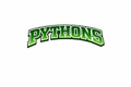 Pythons  - T-shirt / Hoodie