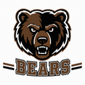 Bears School Mascot - T-shirt / Hoodie