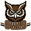 Owls School Mascot - T-shirt / Hoodie
