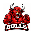 Bulls Classic Mascot - T-shirt / Hoodie