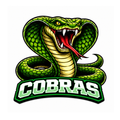 Cobras Classic Mascot - T-shirt / Hoodie