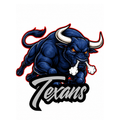 Texans Fierce Mascot - T-shirt / Hoodie