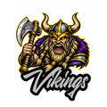 Vikings Fierce Mascot - T-shirt / Hoodie