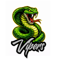 Vipers Fierce Mascot - T-shirt / Hoodie