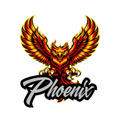 Phoenix Fierce Mascot - T-shirt / Hoodie