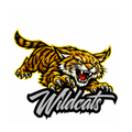 Wildcats Fierce Mascot - T-shirt / Hoodie