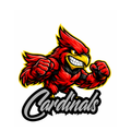 Cardinals Fierce Mascot - T-shirt / Hoodie