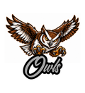Owls Fierce Mascot - T-shirt / Hoodie