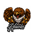 Hawks Fierce Mascot - T-shirt / Hoodie